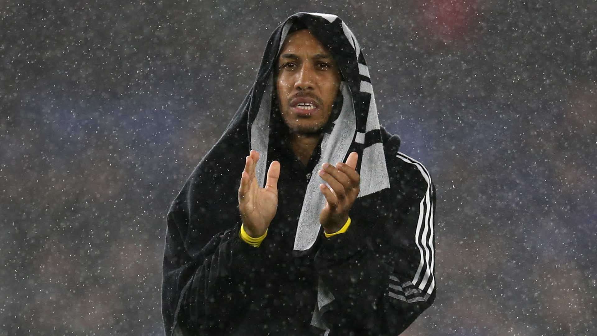 深圳队外援 深圳队外援