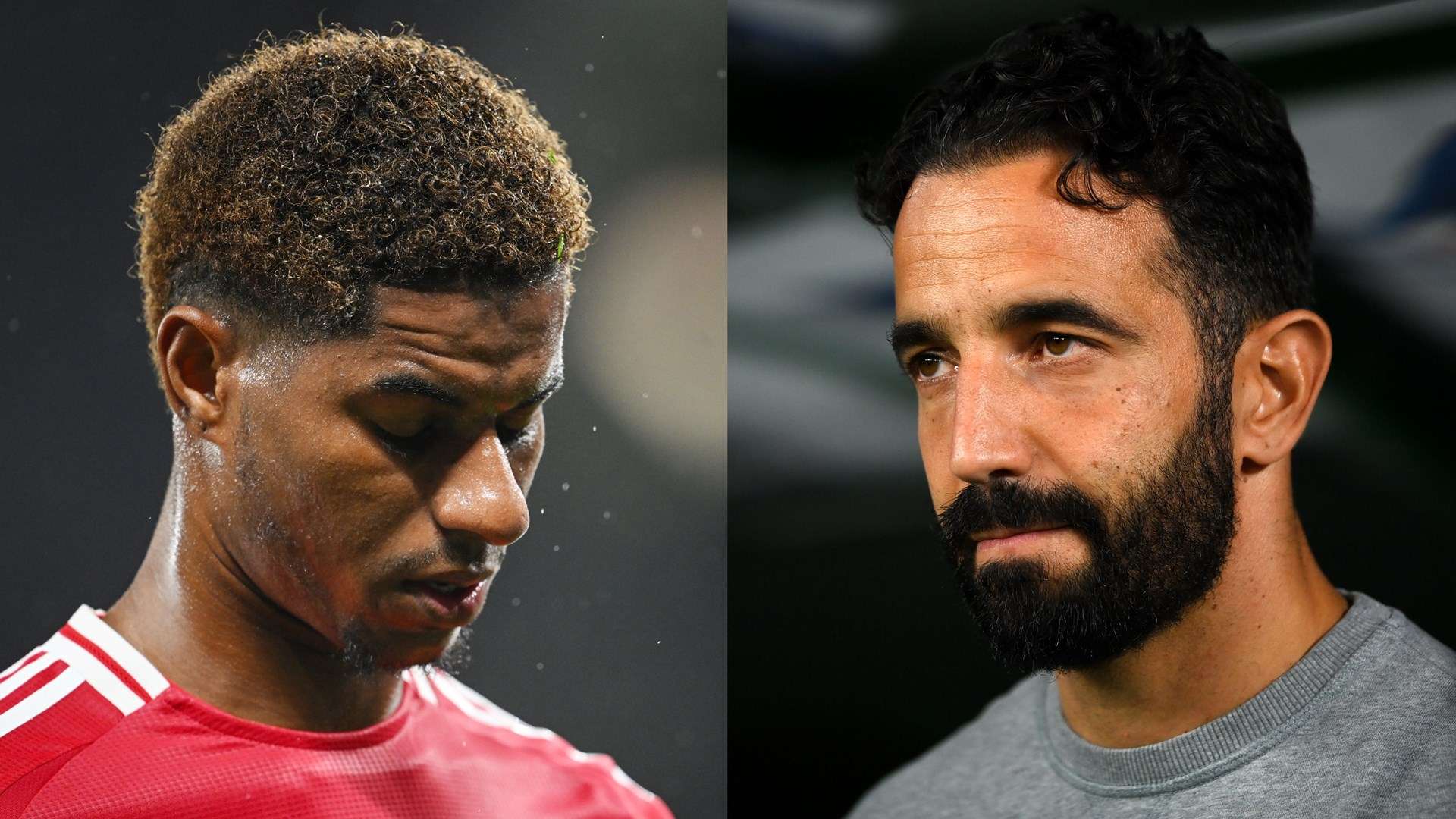 同时也回应 同时也回应